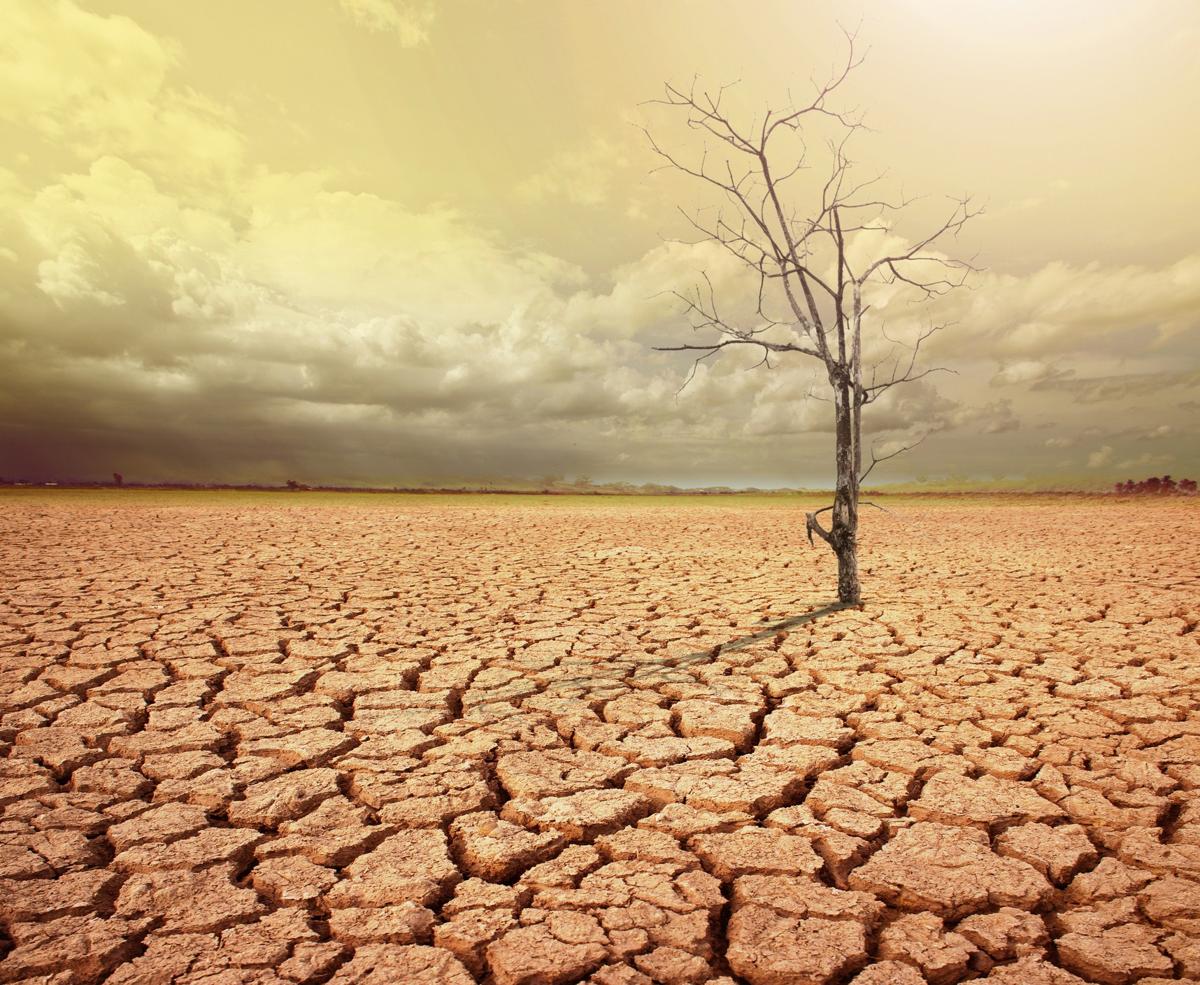 Global warming climate change agriculture collapse desert Blank Meme Template