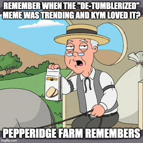 Pepperidge Farm Remembers | REMEMBER WHEN THE "DE-TUMBLERIZED" MEME WAS TRENDING AND KYM LOVED IT? PEPPERIDGE FARM REMEMBERS | image tagged in memes,pepperidge farm remembers,know your meme | made w/ Imgflip meme maker