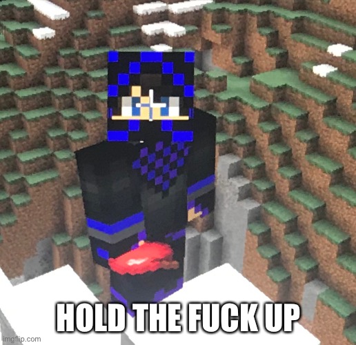 HOLD THE FUCK UP | made w/ Imgflip meme maker