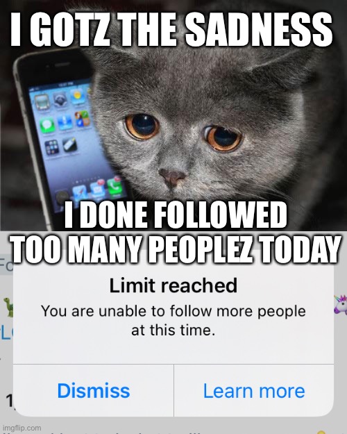 Twitter Limits Cat | I GOTZ THE SADNESS; I DONE FOLLOWED TOO MANY PEOPLEZ TODAY | image tagged in sad cat phone,twitter,followers,cats,tweets,social media | made w/ Imgflip meme maker