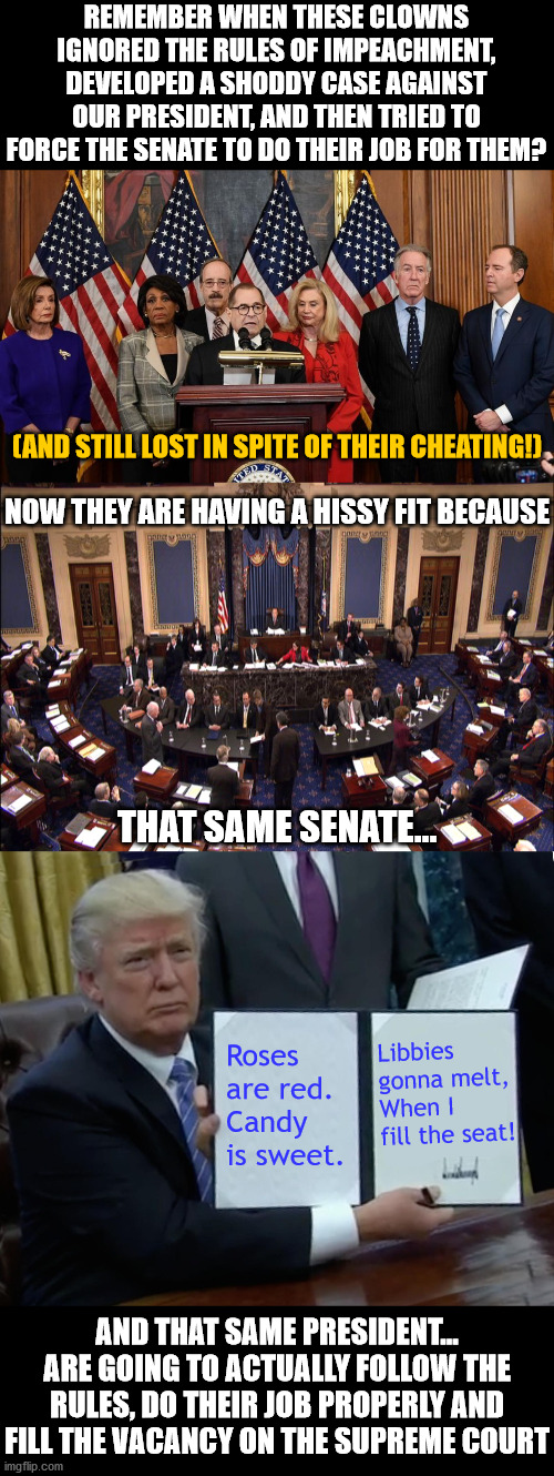 FILL THE SEAT!  FILL THE SEAT!  FILL THE SEAT!  FILL THE SEAT! | REMEMBER WHEN THESE CLOWNS IGNORED THE RULES OF IMPEACHMENT, DEVELOPED A SHODDY CASE AGAINST OUR PRESIDENT, AND THEN TRIED TO FORCE THE SENATE TO DO THEIR JOB FOR THEM? (AND STILL LOST IN SPITE OF THEIR CHEATING!); NOW THEY ARE HAVING A HISSY FIT BECAUSE; THAT SAME SENATE... Libbies gonna melt,
When I fill the seat! Roses are red.
Candy is sweet. AND THAT SAME PRESIDENT...
ARE GOING TO ACTUALLY FOLLOW THE RULES, DO THEIR JOB PROPERLY AND FILL THE VACANCY ON THE SUPREME COURT | image tagged in senate floor,memes,trump bill signing,house democrats,supreme court,constitution | made w/ Imgflip meme maker