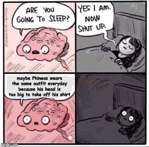 Are you going to sleep? | maybe Phineas wears the same outfit everyday because his head is too big to take off his shirt | image tagged in are you going to sleep,phineas and ferb,memes,stop reading the tags,oh wow are you actually reading these tags,wow | made w/ Imgflip meme maker