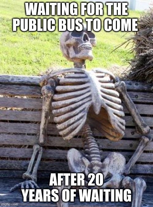 is he ok | WAITING FOR THE PUBLIC BUS TO COME; AFTER 20 YEARS OF WAITING | image tagged in memes,waiting skeleton | made w/ Imgflip meme maker