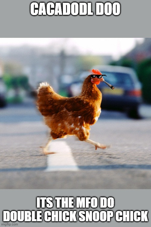 chicken on the road | CACADODL DOO; ITS THE MFO DO DOUBLE CHICK SNOOP CHICK | image tagged in chicken on the road | made w/ Imgflip meme maker