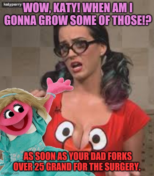 How is this a kid's show? | WOW, KATY! WHEN AM I GONNA GROW SOME OF THOSE!? AS SOON AS YOUR DAD FORKS OVER 25 GRAND FOR THE SURGERY. | image tagged in sesame street,katy perry,big boobs,plastic surgery | made w/ Imgflip meme maker