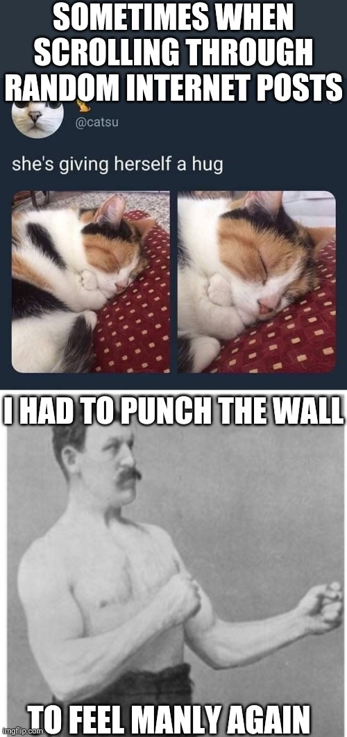 Need to find a wall now! | SOMETIMES WHEN SCROLLING THROUGH RANDOM INTERNET POSTS; I HAD TO PUNCH THE WALL; TO FEEL MANLY AGAIN | image tagged in memes,overly manly man | made w/ Imgflip meme maker