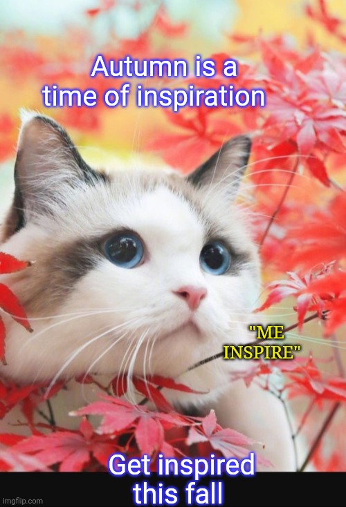 Fall Kitty | Autumn is a time of inspiration; "ME INSPIRE"; Get inspired this fall | image tagged in i love cats | made w/ Imgflip meme maker