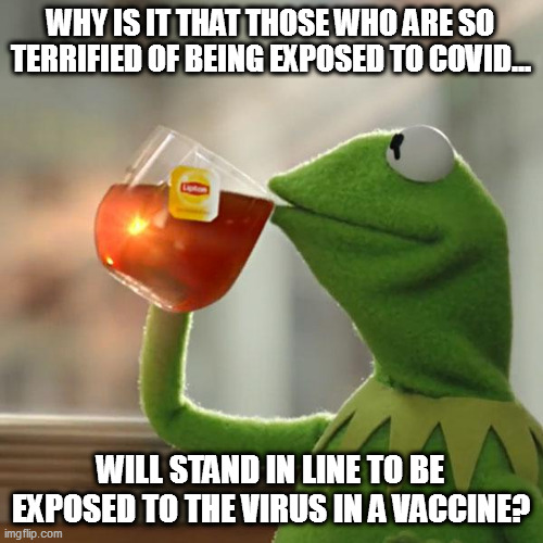 But That's None Of My Business | WHY IS IT THAT THOSE WHO ARE SO TERRIFIED OF BEING EXPOSED TO COVID... WILL STAND IN LINE TO BE EXPOSED TO THE VIRUS IN A VACCINE? | image tagged in memes,but that's none of my business,kermit the frog | made w/ Imgflip meme maker