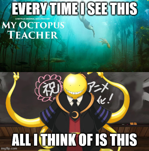 Octopus Teacher huh |  EVERY TIME I SEE THIS; ALL I THINK OF IS THIS | image tagged in octopus,sensei,teacher,anime,netflix,assassination classroom | made w/ Imgflip meme maker