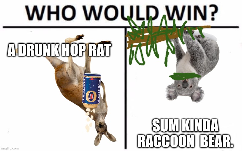 Meanwhile in Australia... | A DRUNK HOP RAT; SUM KINDA RACCOON  BEAR. | image tagged in memes,who would win | made w/ Imgflip meme maker