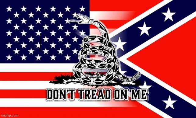 Does the cringe in this graphic need any explaining? | image tagged in don't tread on me confederate flag,cringe worthy,confederate flag,libertarian,american flag,conservative logic | made w/ Imgflip meme maker