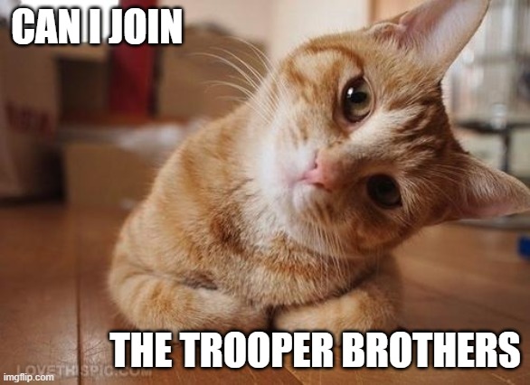 I already filled the enlistment form. | CAN I JOIN; THE TROOPER BROTHERS | image tagged in curious question cat,can i join please,can't believe it was already a tag | made w/ Imgflip meme maker