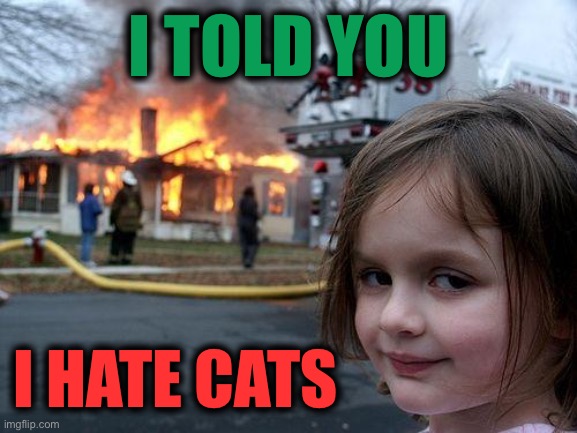 Well that got dark real quick | I TOLD YOU; I HATE CATS | image tagged in memes,disaster girl,distracted boyfriend,the most interesting man in the world,left exit 12 off ramp,grumpy cat | made w/ Imgflip meme maker