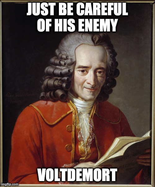 Voltaire Thinking | JUST BE CAREFUL OF HIS ENEMY VOLTDEMORT | image tagged in voltaire thinking | made w/ Imgflip meme maker