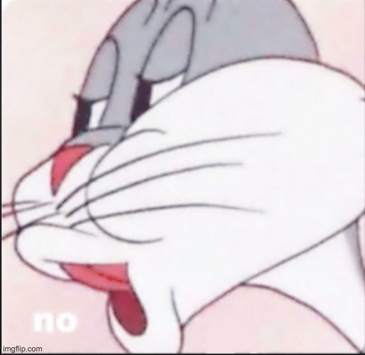 Bugs Bunny "No" | image tagged in bugs bunny no | made w/ Imgflip meme maker