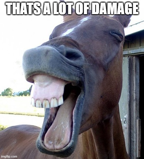 Funny Horse Face | THATS A LOT OF DAMAGE | image tagged in funny horse face | made w/ Imgflip meme maker