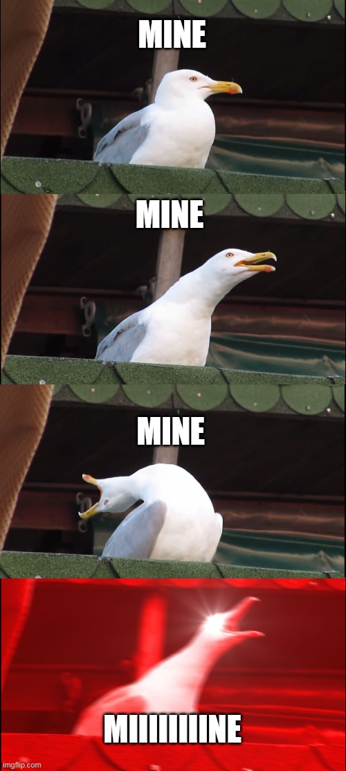Inhaling Seagull | MINE; MINE; MINE; MIIIIIIIINE | image tagged in memes,inhaling seagull | made w/ Imgflip meme maker