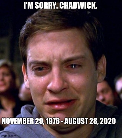 I'M SORRY, CHADWICK. NOVEMBER 29, 1976 - AUGUST 28, 2020 | image tagged in crying peter parker | made w/ Imgflip meme maker