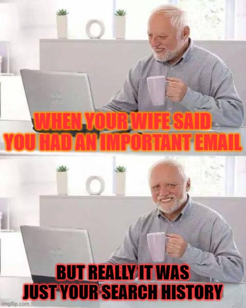 Hide the Pain Harold Meme | WHEN YOUR WIFE SAID YOU HAD AN IMPORTANT EMAIL; BUT REALLY IT WAS JUST YOUR SEARCH HISTORY | image tagged in memes,hide the pain harold | made w/ Imgflip meme maker