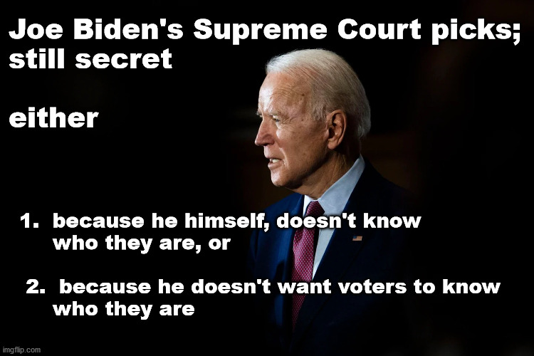 biden scotus picks | Joe Biden's Supreme Court picks;
still secret
 
either; 1.  because he himself, doesn't know 
     who they are, or
 
 2.  because he doesn't want voters to know 
     who they are | image tagged in politics | made w/ Imgflip meme maker