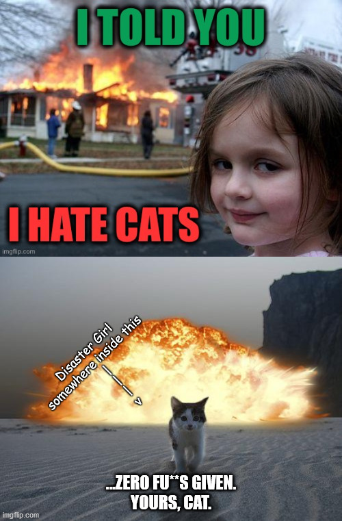 Indifferent Cat is Indifferent | Disaster Girl
somewhere inside this
  |
  |
  |
  v; ...ZERO FU**S GIVEN.
YOURS, CAT. | image tagged in cat explosion | made w/ Imgflip meme maker