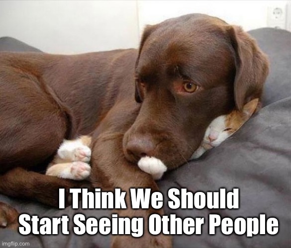 You’re Smothering Me! | I Think We Should Start Seeing Other People | image tagged in funny memes,funny cat memes,cats,funny dogs | made w/ Imgflip meme maker