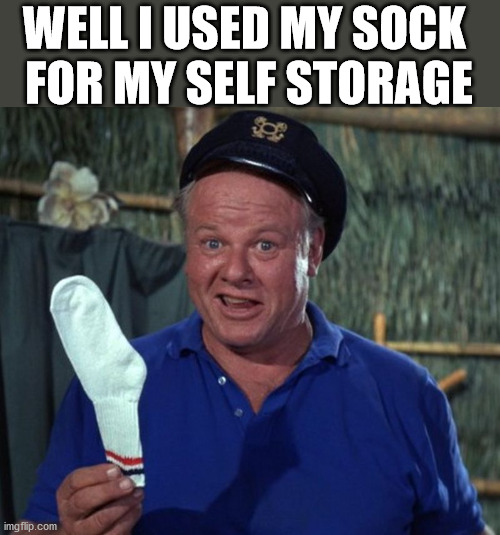 sock | WELL I USED MY SOCK 
FOR MY SELF STORAGE | image tagged in sock | made w/ Imgflip meme maker