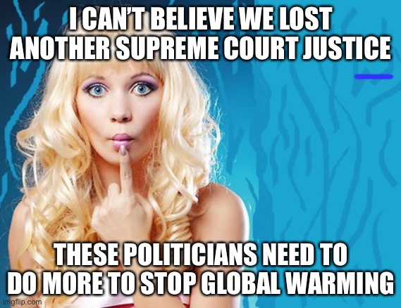 ditzy blonde | I CAN’T BELIEVE WE LOST ANOTHER SUPREME COURT JUSTICE; THESE POLITICIANS NEED TO DO MORE TO STOP GLOBAL WARMING | image tagged in ditzy blonde,memes,funny,terrible puns | made w/ Imgflip meme maker