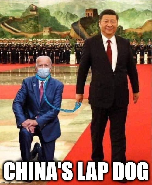 Joe Biden, Bought & Paid For By China | CHINA'S LAP DOG | image tagged in politics,political meme,joe biden,made in china,democratic party,insanity | made w/ Imgflip meme maker