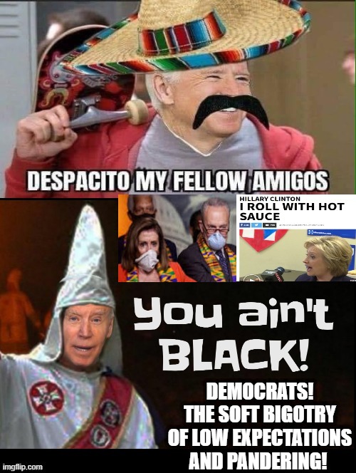 Democrats!  The Soft Bigotry of Low Expectations and Pandering! | image tagged in stupid liberals,biden,pelosi,chuck schumer,hillary | made w/ Imgflip meme maker