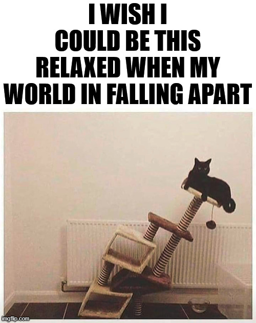 I WISH I COULD BE THIS RELAXED WHEN MY WORLD IN FALLING APART | image tagged in cats | made w/ Imgflip meme maker