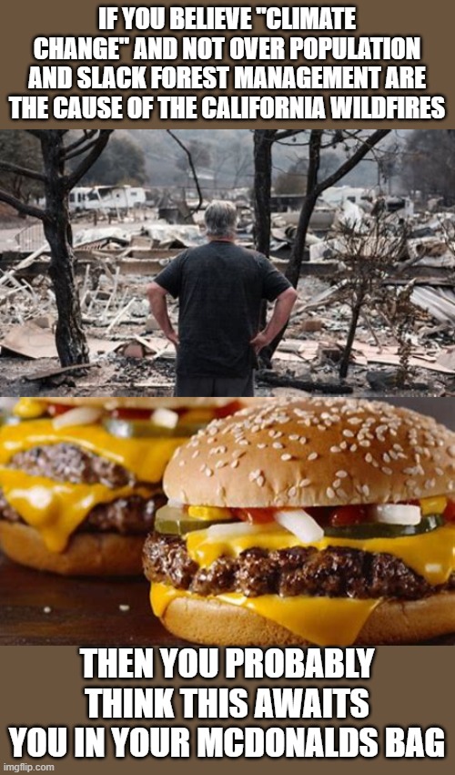 yep | IF YOU BELIEVE "CLIMATE CHANGE" AND NOT OVER POPULATION AND SLACK FOREST MANAGEMENT ARE THE CAUSE OF THE CALIFORNIA WILDFIRES; THEN YOU PROBABLY THINK THIS AWAITS YOU IN YOUR MCDONALDS BAG | image tagged in democrats,california,joe biden,communism,2020 elections | made w/ Imgflip meme maker