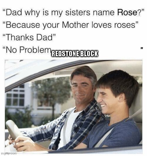 Why is my sister's name Rose | REDSTONE BLOCK | image tagged in why is my sister's name rose | made w/ Imgflip meme maker