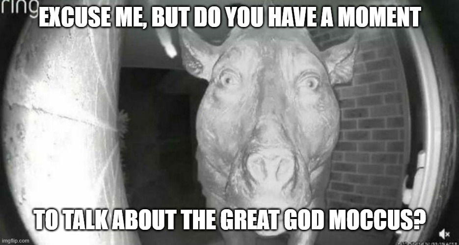 Missionary Daedon of the Curch of Swinism | EXCUSE ME, BUT DO YOU HAVE A MOMENT; TO TALK ABOUT THE GREAT GOD MOCCUS? | image tagged in daeodon at the door,memes,palaeontology memes,animals | made w/ Imgflip meme maker