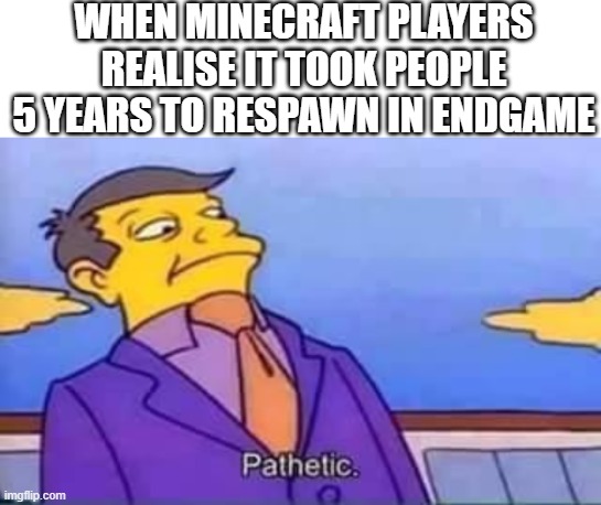 WHEN MINECRAFT PLAYERS REALISE IT TOOK PEOPLE 5 YEARS TO RESPAWN IN ENDGAME | image tagged in blank white template,skinner pathetic,memes | made w/ Imgflip meme maker