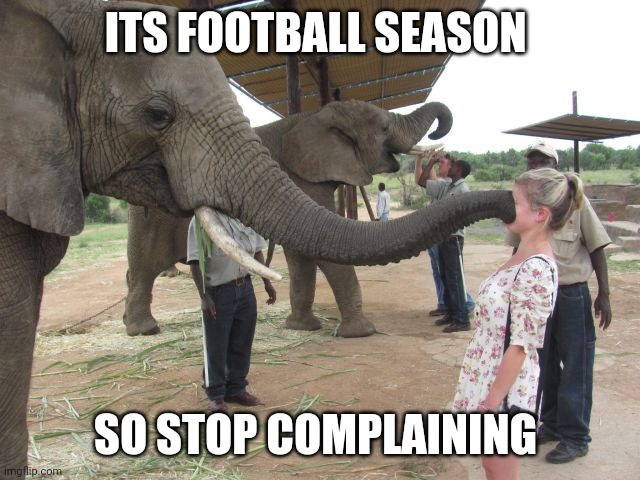 Elephant Trekie | ITS FOOTBALL SEASON; SO STOP COMPLAINING | image tagged in elephant trekie,memes,football | made w/ Imgflip meme maker