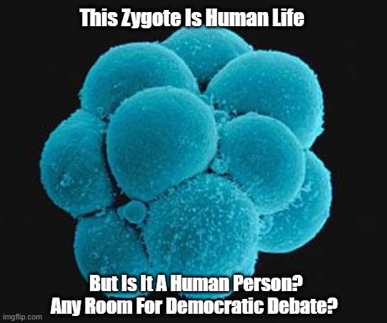 "This Zygote Is Human Life. But..." | This Zygote Is Human Life; But Is It A Human Person? Any Room For Democratic Debate? | image tagged in human zygote,pro life,pro birth,pro choice,abortion,roe v wade | made w/ Imgflip meme maker