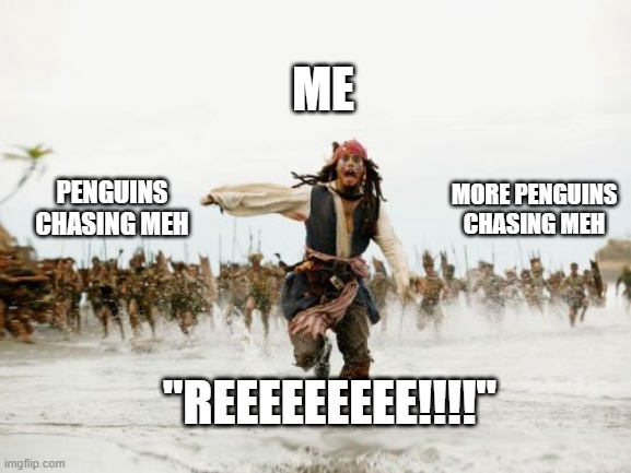 idk what to post sooooo.....hola...lol | ME; MORE PENGUINS CHASING MEH; PENGUINS CHASING MEH; "REEEEEEEEE!!!!" | image tagged in memes,jack sparrow being chased,penguins,crazy,lol | made w/ Imgflip meme maker