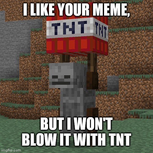:> | I LIKE YOUR MEME, BUT I WON'T BLOW IT WITH TNT | image tagged in tnt yeeter | made w/ Imgflip meme maker