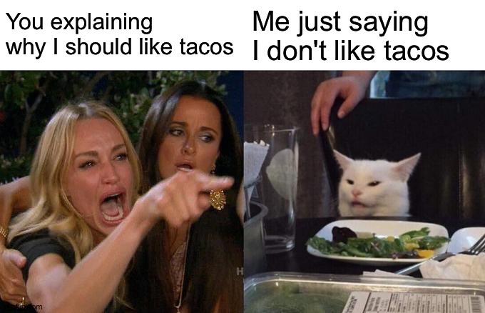 Woman Yelling At Cat Meme | You explaining why I should like tacos; Me just saying I don't like tacos | image tagged in memes,woman yelling at cat | made w/ Imgflip meme maker