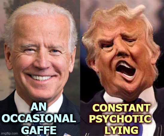 Biden has a stutter. The other guy is batsh*t crazy. Not really equivalent. | AN OCCASIONAL GAFFE; CONSTANT
PSYCHOTIC 
LYING | image tagged in biden solid trump weak,biden,good,trump,evil,murderer | made w/ Imgflip meme maker