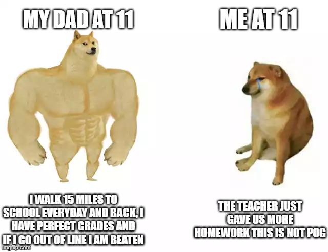 Buff Doge vs. Cheems Meme | ME AT 11; MY DAD AT 11; I WALK 15 MILES TO SCHOOL EVERYDAY AND BACK, I HAVE PERFECT GRADES AND IF I GO OUT OF LINE I AM BEATEN; THE TEACHER JUST GAVE US MORE HOMEWORK THIS IS NOT POG | image tagged in buff doge vs cheems | made w/ Imgflip meme maker