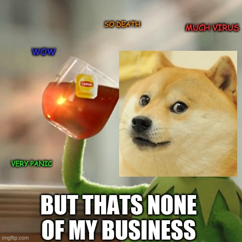 But That's None Of My Business Meme | SO DEATH; MUCH VIRUS; WOW; VERY PANIC; BUT THATS NONE OF MY BUSINESS | image tagged in memes,but that's none of my business,kermit the frog | made w/ Imgflip meme maker