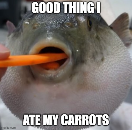 GOOD THING I ATE MY CARROTS | image tagged in pufferfish eating carrot | made w/ Imgflip meme maker