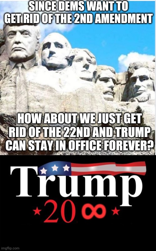 Trump20-Infinity | SINCE DEMS WANT TO GET RID OF THE 2ND AMENDMENT; HOW ABOUT WE JUST GET RID OF THE 22ND AND TRUMP CAN STAY IN OFFICE FOREVER? 8 | image tagged in trump2020,maga,2nd amendment,election 2020,vote trump,libtards | made w/ Imgflip meme maker