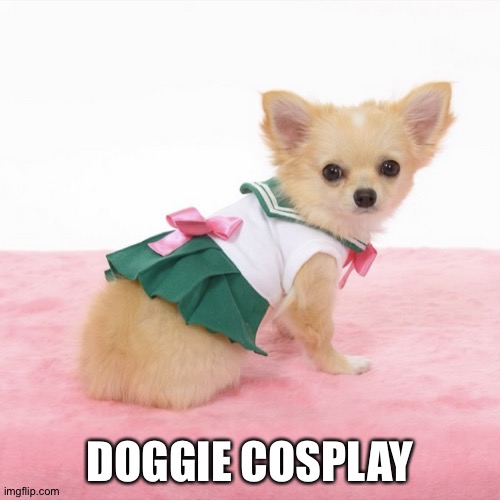 Not just for humans any more | DOGGIE COSPLAY | image tagged in cosplay dog | made w/ Imgflip meme maker