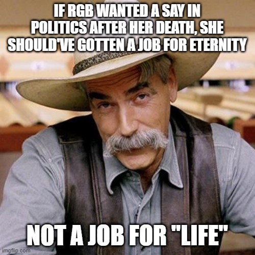SARCASM COWBOY | IF RGB WANTED A SAY IN POLITICS AFTER HER DEATH, SHE SHOULD'VE GOTTEN A JOB FOR ETERNITY NOT A JOB FOR "LIFE" | image tagged in sarcasm cowboy | made w/ Imgflip meme maker