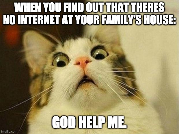 Scared Cat | WHEN YOU FIND OUT THAT THERES NO INTERNET AT YOUR FAMILY'S HOUSE:; GOD HELP ME. | image tagged in memes,scared cat | made w/ Imgflip meme maker