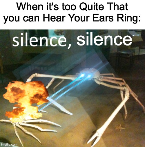 Can Anyone Relate? | When it's too Quite That you can Hear Your Ears Ring:; silence | image tagged in silence crab | made w/ Imgflip meme maker
