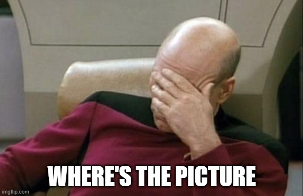 Captain Picard Facepalm Meme | WHERE'S THE PICTURE | image tagged in memes,captain picard facepalm | made w/ Imgflip meme maker